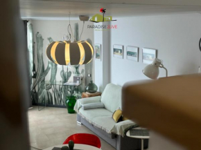 CactusVibes Cotillo